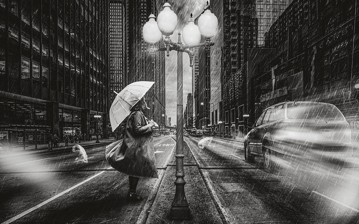 woman in rain with umbrella and cars passing by