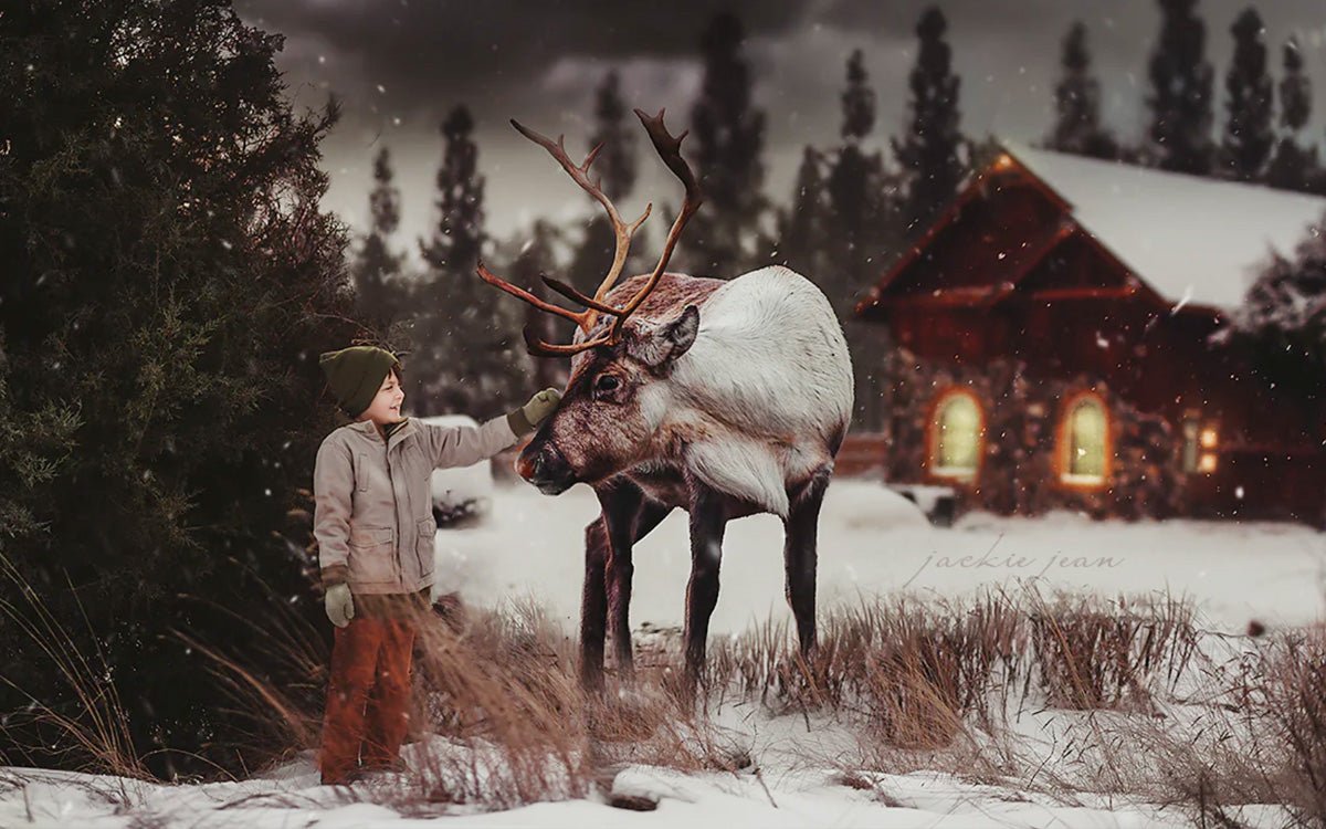 reindeer composite in winter scene