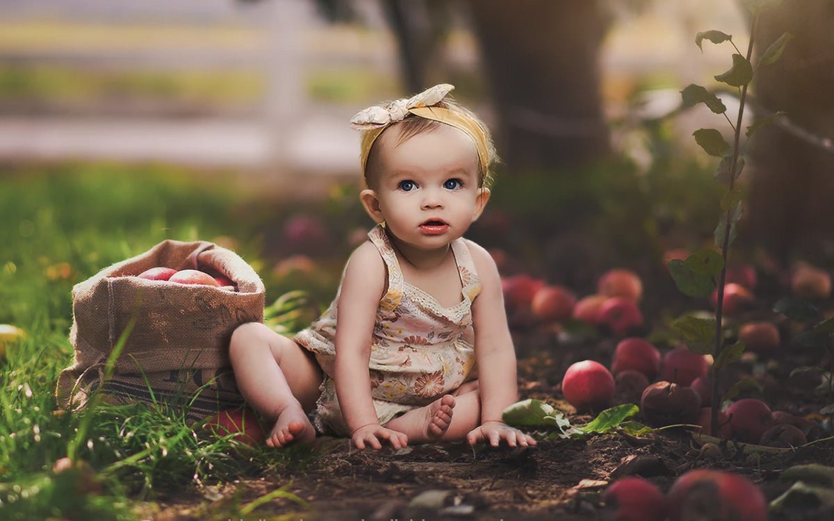 toddler in apple orchard digital background