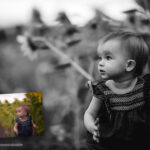 The Creative Edge Presets - ShopJeanPhotography.com