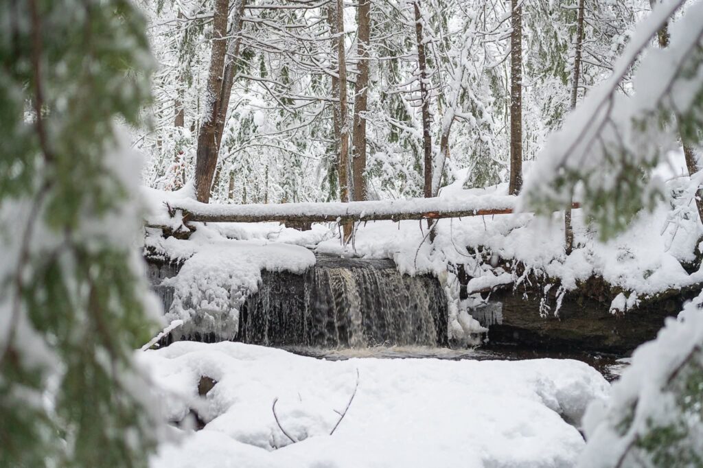 winter scene with river