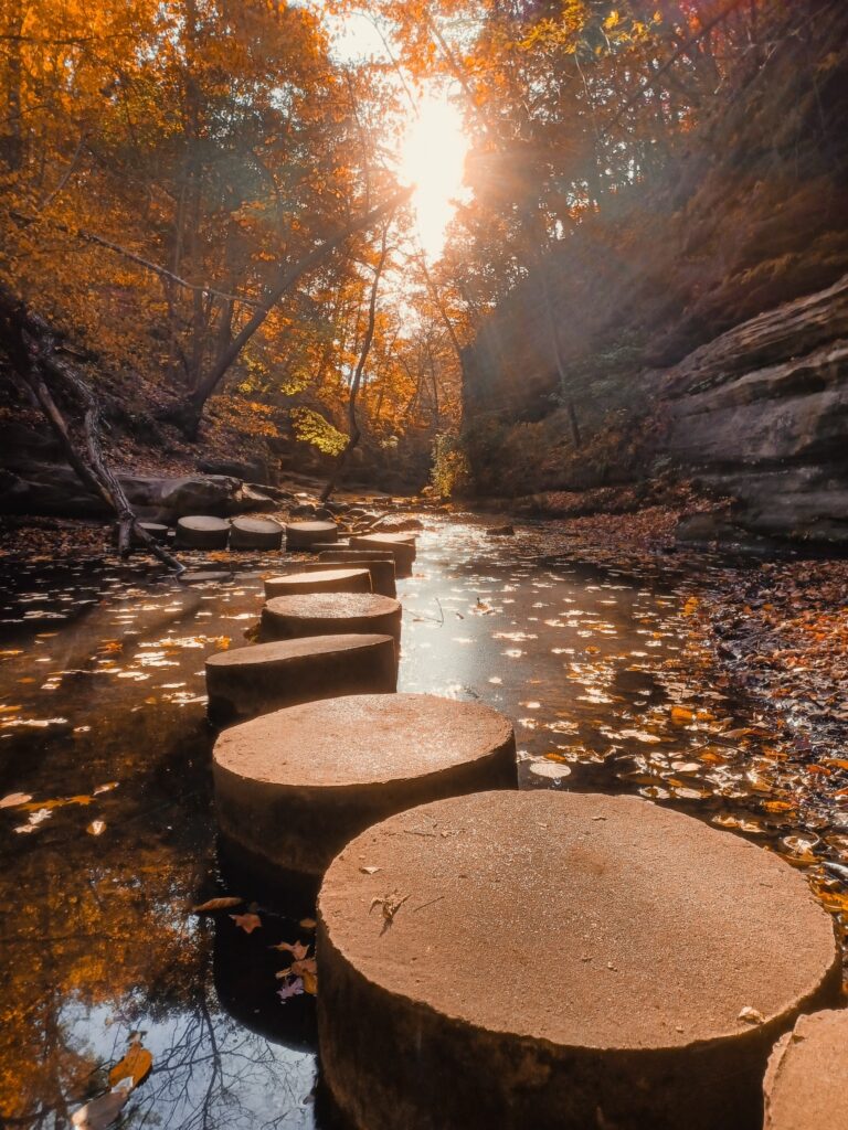 trail of logs on river