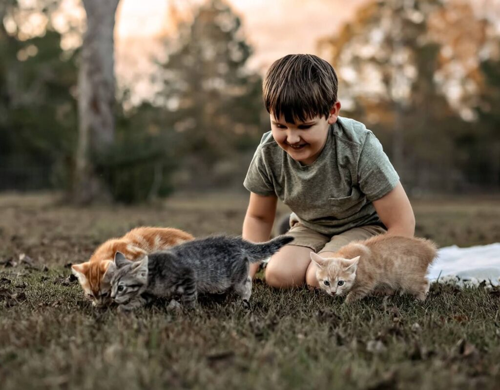 young boy outside playing with 5 kittens