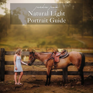 Young woman holding hand out to horse at sunset