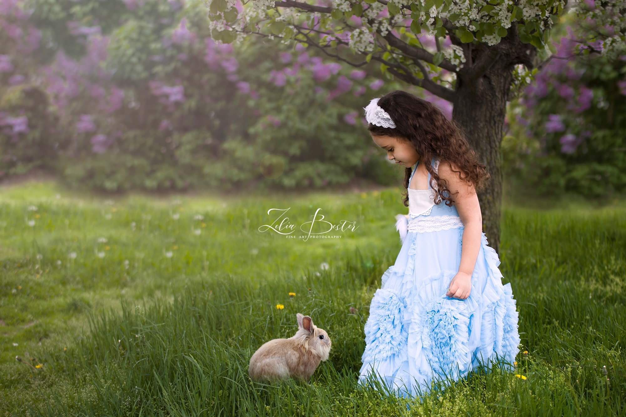 Little girl looking at a bunny in a green field